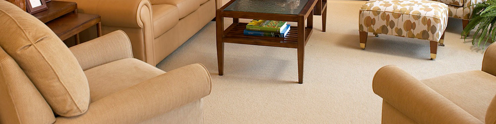 Carpets & Area Rugs